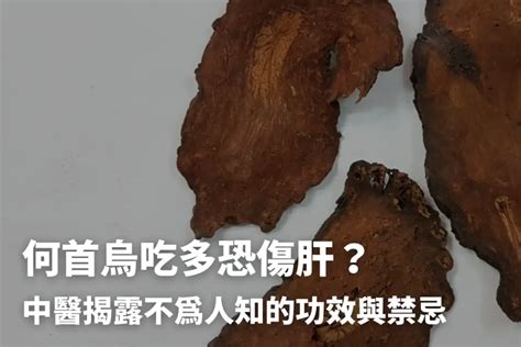 何首烏粉功效|何首烏秋冬進補怎麼吃？醫列功效禁忌＋何首烏藥膳做。